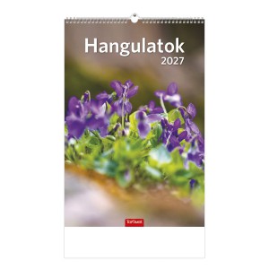 Falinapt&aacute;r 22 x 33 2027  HANGULATOK  Kicsi  T094-12