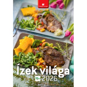 Falinaptár Day Liner 23X33 2026  MINDMEGETTE ÍZEK VILÁGA