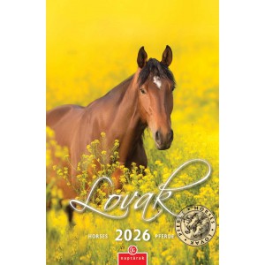 Falinaptár CSG 21 x 32 2026 LOVAK  FN 088