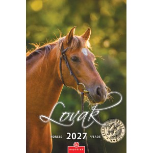 Falinapt&aacute;r CSG 21 x 32 2027 LOVAK  FN 088