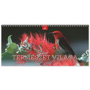 K&eacute;pes asztali napt&aacute;r norm&aacute;l 32X15 2027  TERM&Eacute;SZET VIL&Aacute;GA &aacute;ll&oacute; pap&iacute;rt&aacute;bl&aacute;s