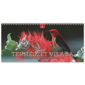 K&eacute;pes asztali napt&aacute;r norm&aacute;l 32X15 2027  TERM&Eacute;SZET VIL&Aacute;GA  fekvő PVC talp  k&eacute;k
