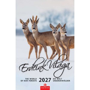 Falinapt&aacute;r CSG 21 x 32 2027  ERDEINK VIL&Aacute;GA FN 084