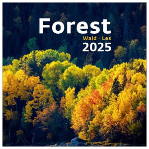 Falinaptár  30X30  2025  FOREST erdő  H166