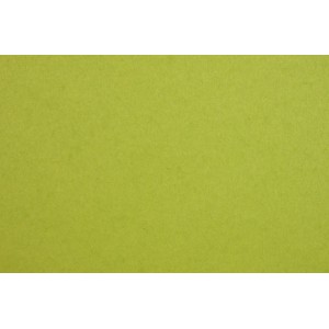 Karton FABRIANO kétoldalas A4 200g 20ívcsg lime zöld 658