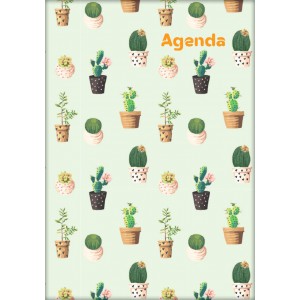 Napi agenda A5 2026 COLORS  Cactus
