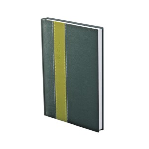 Napi agenda TOPTIMER  F021  A5 2027 FASHION  z&ouml;ld-vil&aacute;gosz&ouml;ld-z&ouml;ld