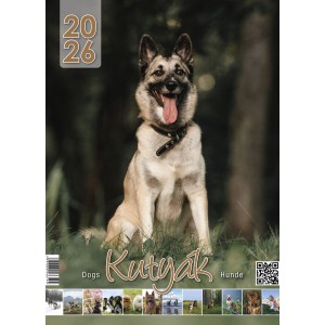 Falinaptár VALKAY 24,5 x 38 2026   KUTYÁK