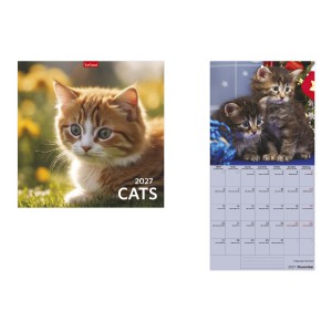 Falinapt&aacute;r lemez 29x58 2027  CATS  T9800-02A