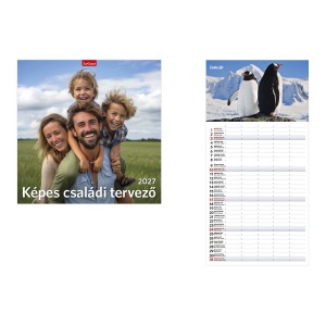 Falinapt&aacute;r lemez 29x58 K&Eacute;PES CSAL&Aacute;DI TERVEZŐNAPT&Aacute;R  T9800-04A