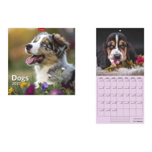 Falinapt&aacute;r lemez 29x58 2027  DOGS  T9800-06A