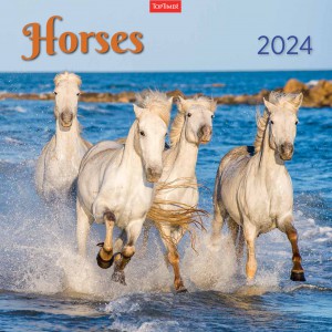 Falinaptár lemez 29X58 2024  HORSES  T098-010