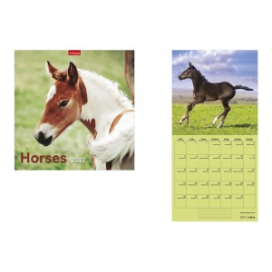 Falinapt&aacute;r lemez 29x58 2027  HORSES  T9800-10A