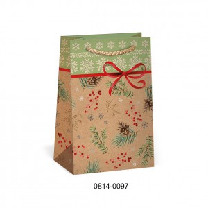 Dísztasak ARGUS 10x16x6 T1 NatúrEco karácsonyi vegyes  0814