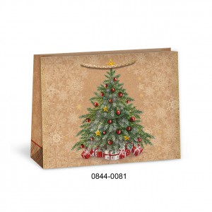 Dísztasak ARGUS 18x24x7,5 T4 NatúrEco karácsonyi vegyes  0844