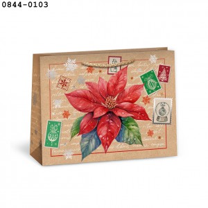 D&iacute;sztasak ARGUS 18x24x7,5 T4 Nat&uacute;rEco kar&aacute;csonyi vegyes  0844