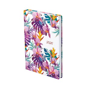 Heti agenda TOPTIMER  J012 B6 2026 JOY J102 bali 3D