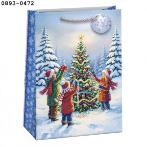 D&iacute;sztasak ARGUS 34,5x48 T9 kar&aacute;csonyi vegyes  0893,0896,0897