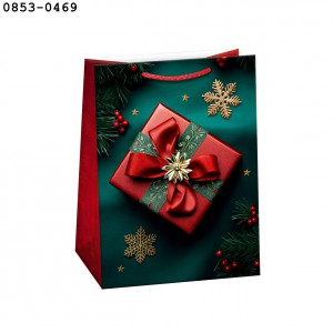 D&iacute;sztasak ARGUS 23x32 T5 kar&aacute;csonyi vegyes  0853,0856,0857