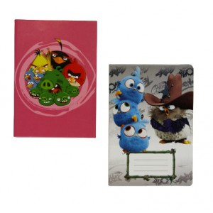Füzet A5  31-32 Angry Birds szótár  311-2756  2615
