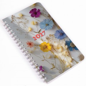 Heti agenda spir&aacute;lozott REALSYSTEM zseb 95x171mm 2027 akvarell 50