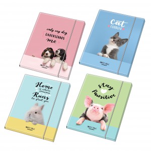 Gumis mappa BLASETTI  A4 1,2 cm Cuccioli 8376