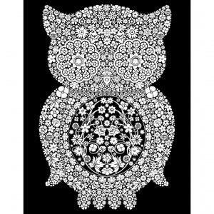 Kreatív kép COLORVELVET "OWL" XL 50*70 cm, flokkolt felületű, színezhető XL5
