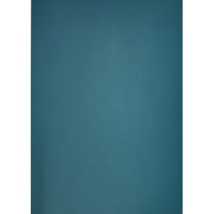 Karton  k&eacute;toldalas 50x70 225g Amazon bluepapag&aacute;j k&eacute;k 9065