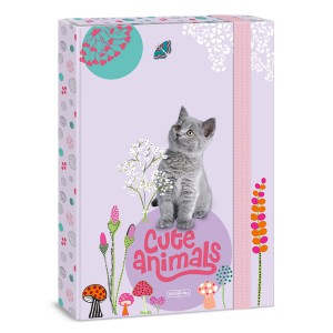 Füzetbox ARS UNA  A4 Cute Animals-Kitten 5368 24