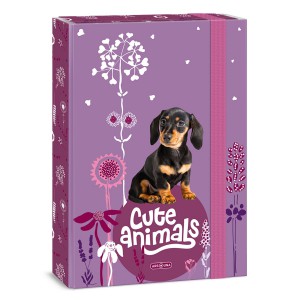 Füzetbox ARS UNA  A4 Cute Animals-Puppy 5369 24