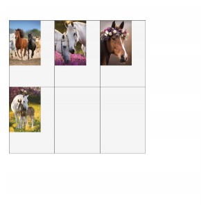 Gumis mappa POLMAK A4  lovak 10dbcsg  TA4_OG_760