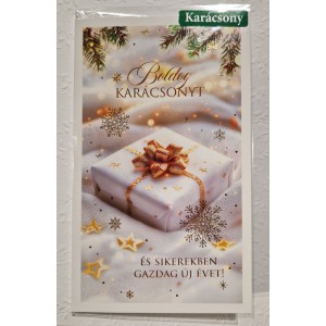 Képeslap 6 Argus karácsonyi 11-6575 Boldog karácsonyt és sikerekben gazdag új évet!fehér ajándékdoboz