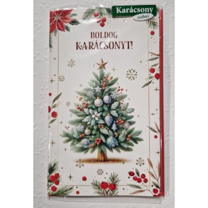 Képeslap 10 Argus karácsonyi 11-6560 Boldog karácsonyt!fenyőfa díszekkel,piros bogyókkal