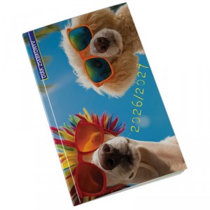 Di&aacute;knapt&aacute;r REAL S  20262027 mint&aacute;s - summer  69