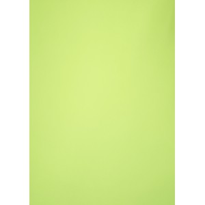 Karton k&eacute;toldalas 50x70 225g  Lime z&ouml;ld  6066