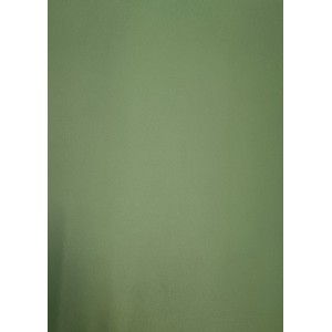 Karton k&eacute;toldalas 50x70 225g  Mossmoha z&ouml;ld  6369
