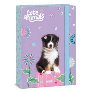 F&uuml;zetbox ARS UNA  A4 Cut animals-Aussie 5528 26