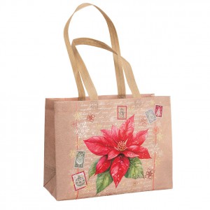 Bev&aacute;s&aacute;rl&oacute; t&aacute;ska textil non-woven ARGUS kar&aacute;csonyi 34,3x25x12 mikul&aacute;svir&aacute;g 2038-0103